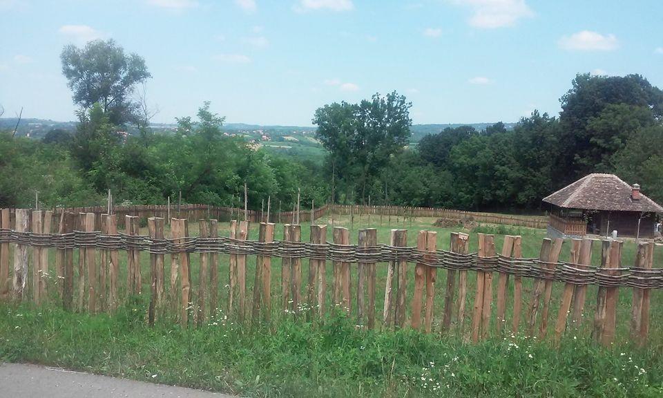Plot