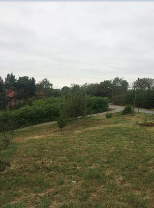 Prodajem plac