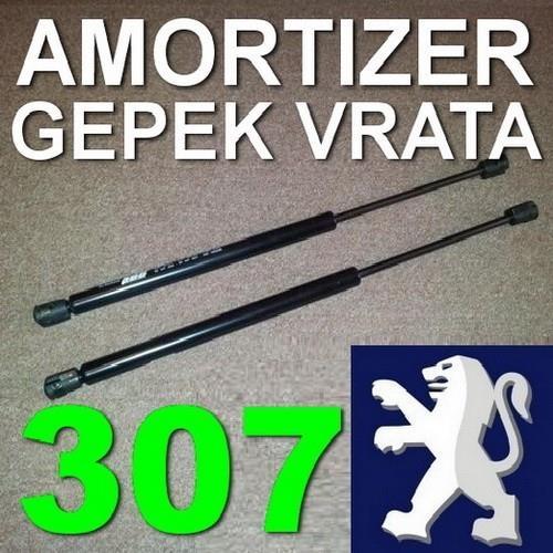 307 Amortizer