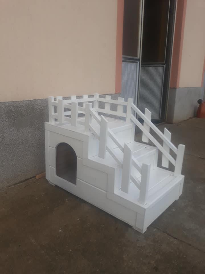 Kucice-za-pse