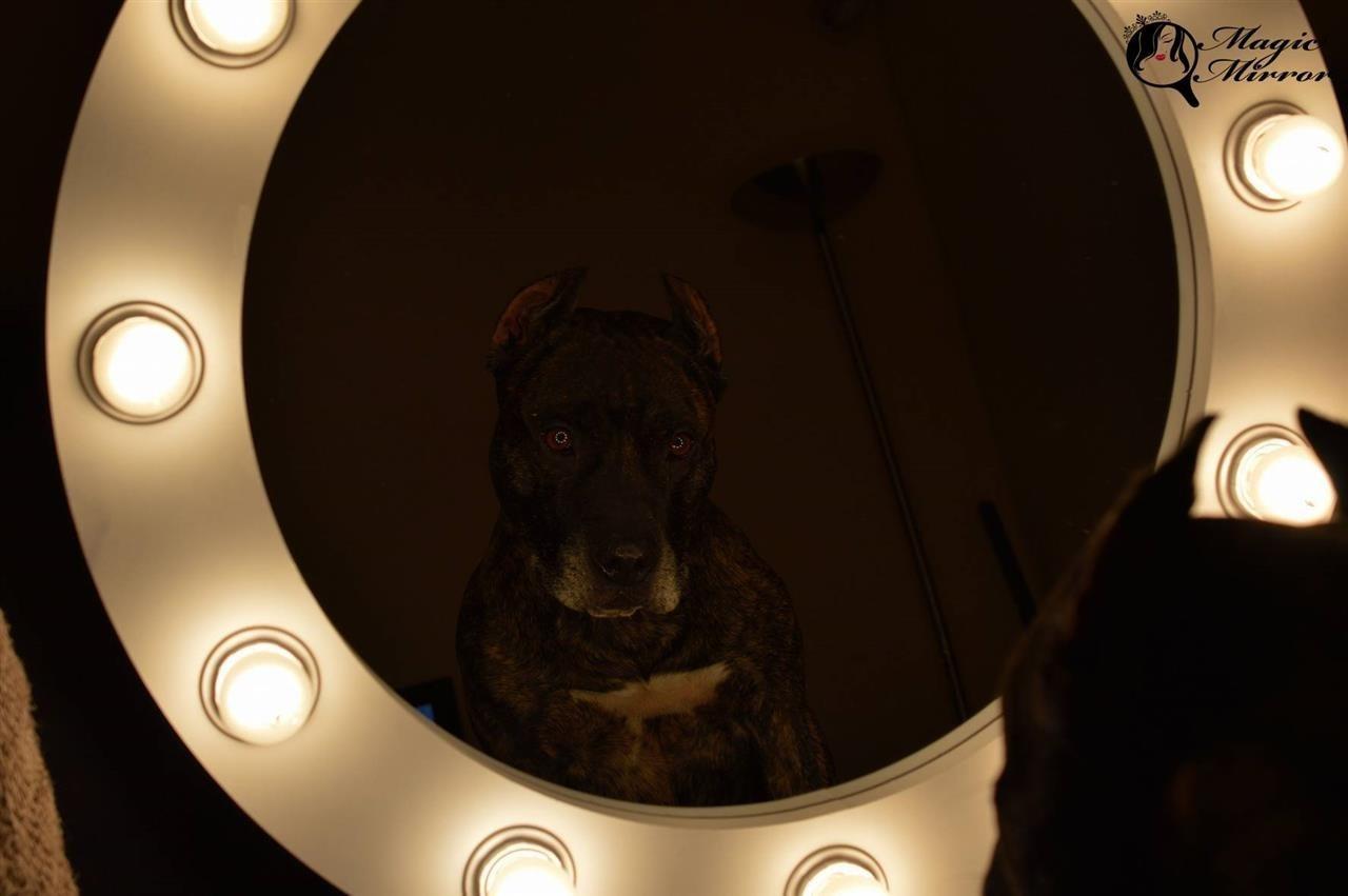 Ogledala-za-sminkanje-Magic-Mirror