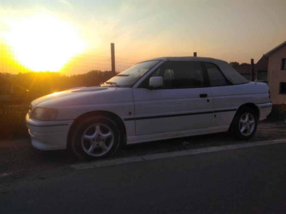 Više-vozila-u-ponudi