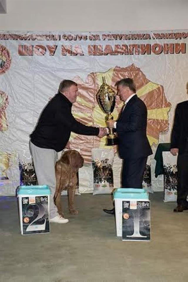 Bordoska-Doga-