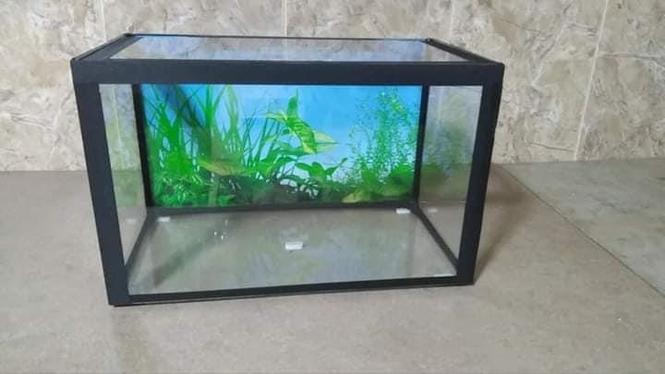 Akvarijum