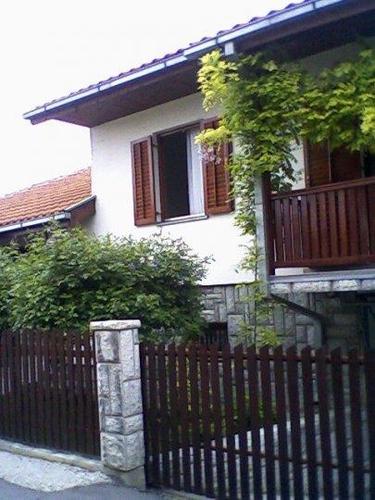 Kuce u Borci