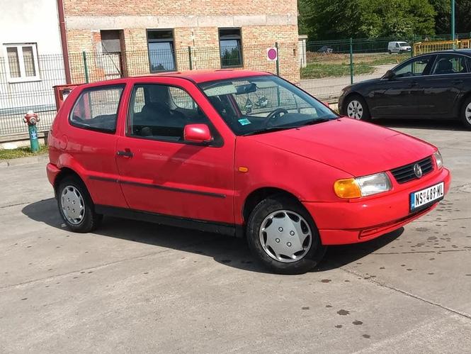 Polo