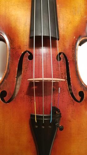 Violina