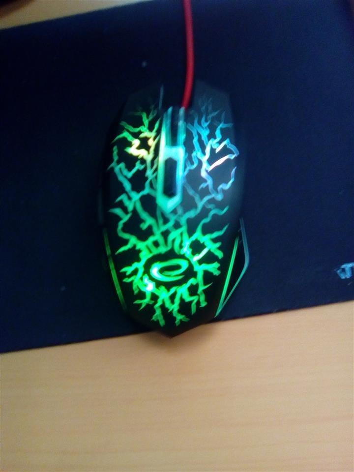 Gamerski-mis