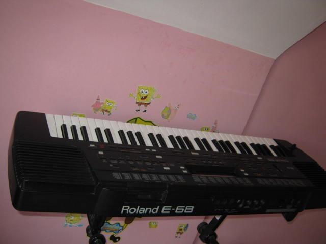 Aranzer Rolan e68 sa flopy discom