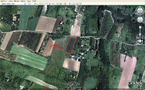 Vinograd 4400m2 