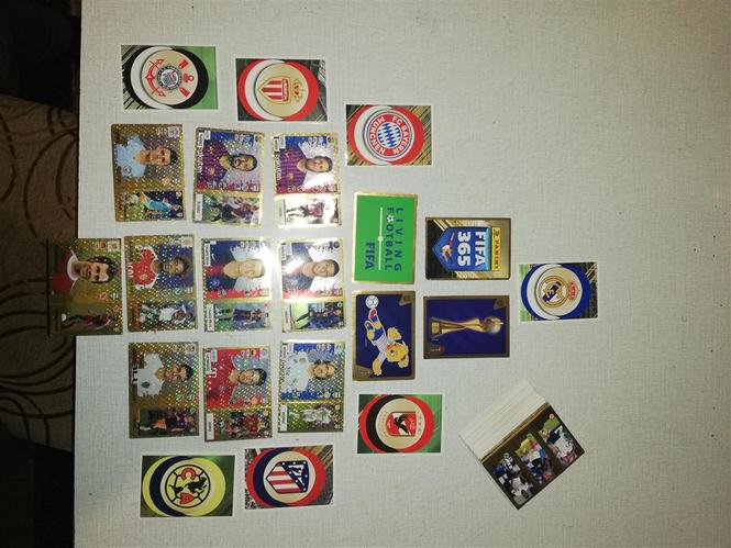 Fifa 365 2019-100 komada