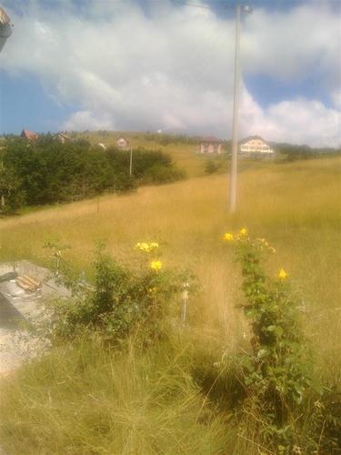 ZLATIBOR