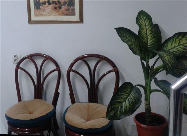 Frizerski-salon-od-35m2---Borca-centar