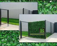 ZELENE STENE – GREEN WALL