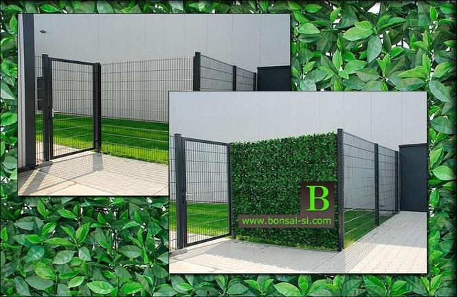 ZELENE STENE – GREEN WALL