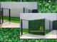 ZELENE STENE – GREEN WALL
