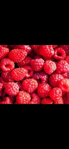 Berba maline