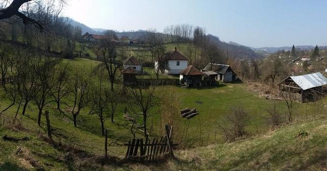 Seosko domacinstvo BOSUTA