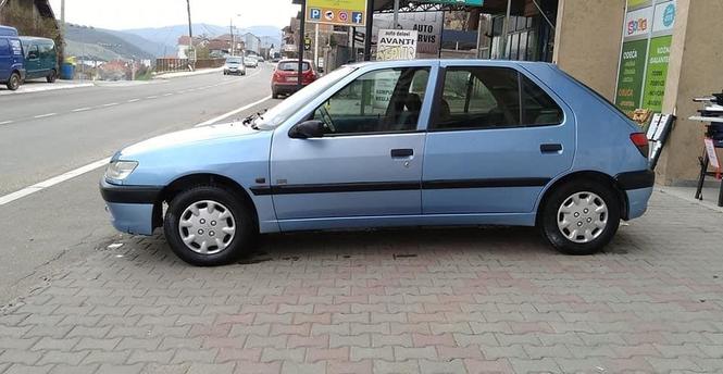 Pezo 306