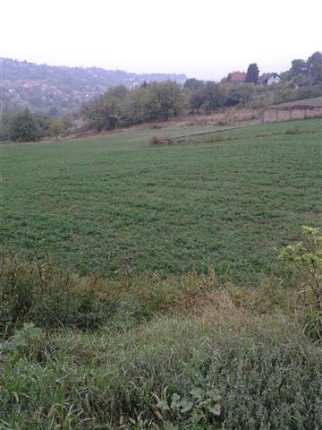 Placevi-na-Čardaku