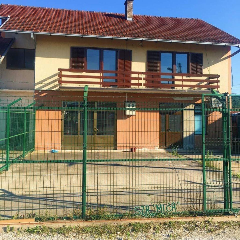 Žica