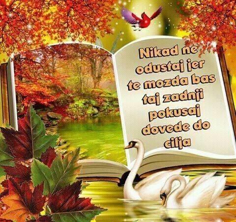 Posao od kuce