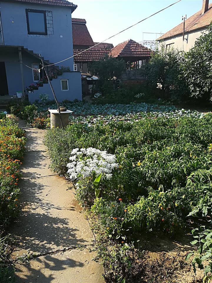 Prodajem-kucu-i-plac-7-