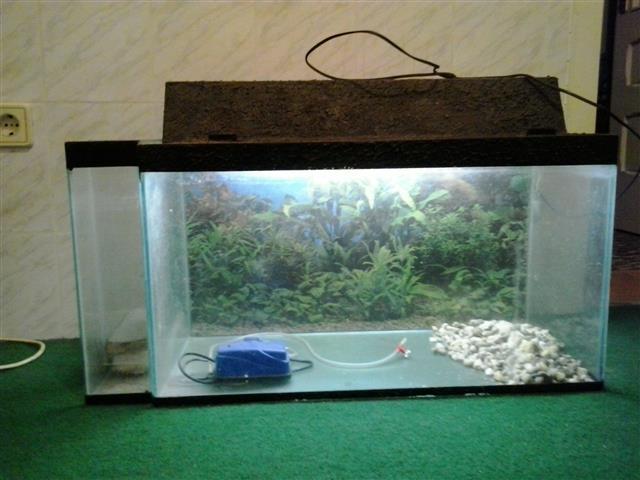 Akvarijum