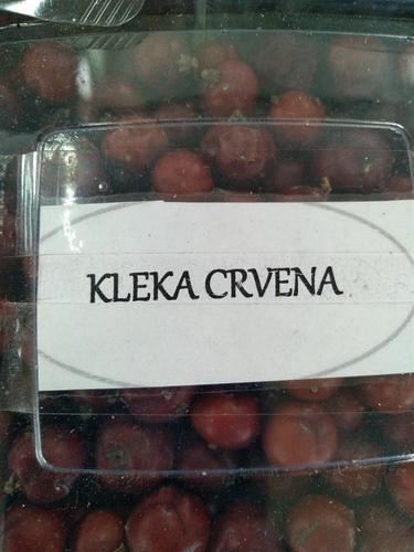 Crvena Kleka 