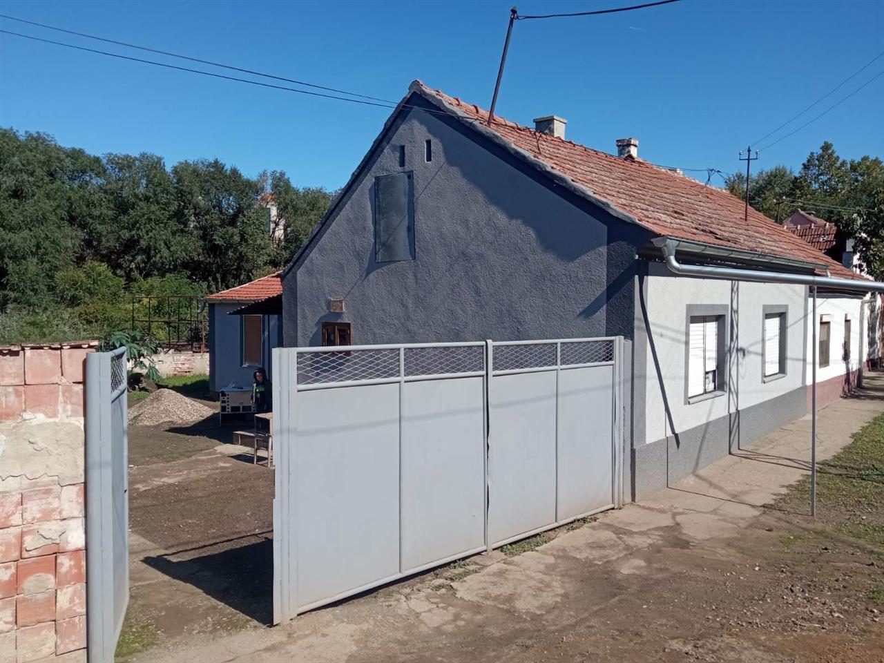 Šumica-10--1-1