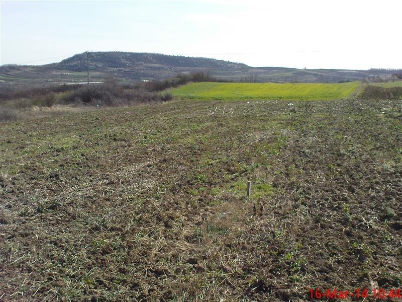 Placevi-Lesce-Slanci
