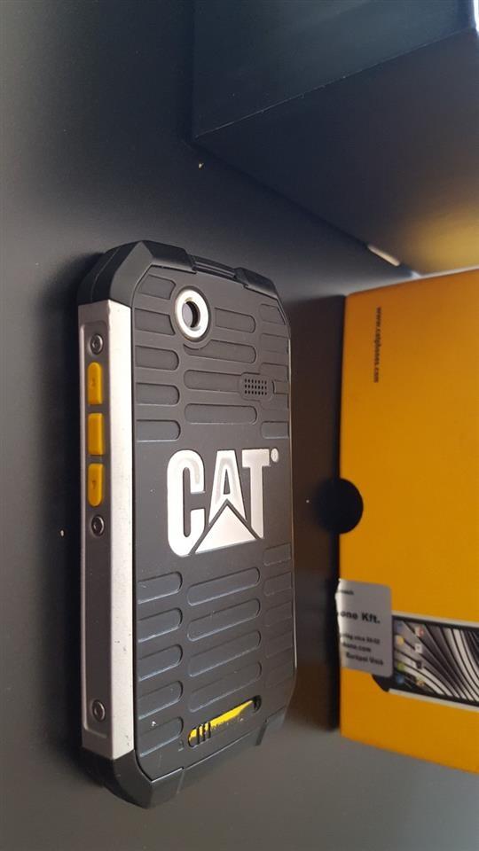 Cat-b15-kao-nov