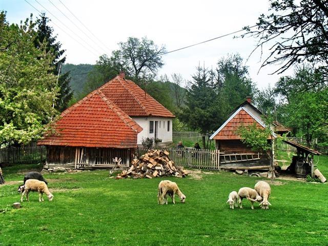 Plac-50000m2-u-Kosjeric--sa-izvorima-vode