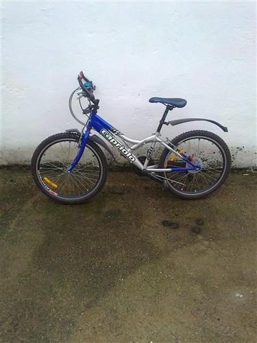 Capriolo diabolo 24