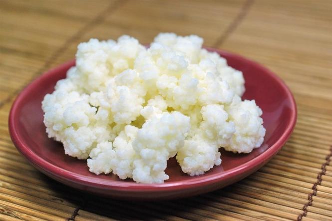 Prodaja gljive kefir