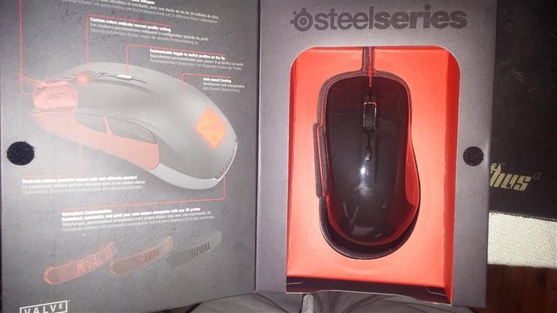 SeelSeries-Rival-Dota-2-Edition