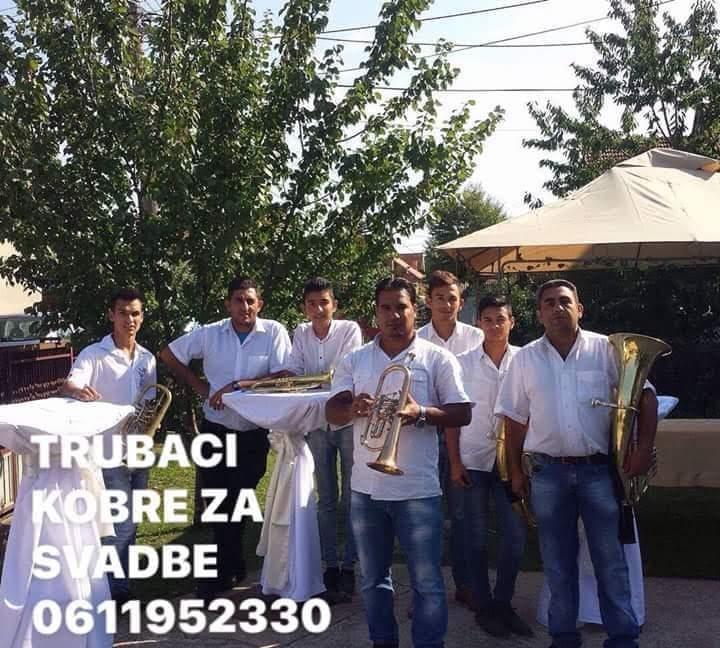 Trubaci
