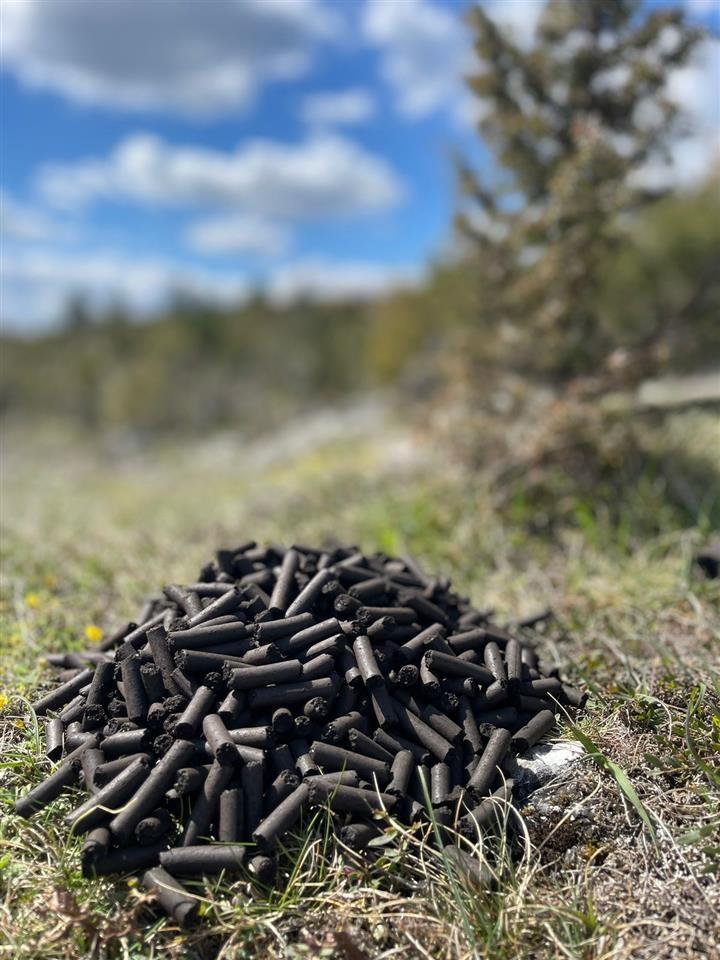 pellet-od-uglja