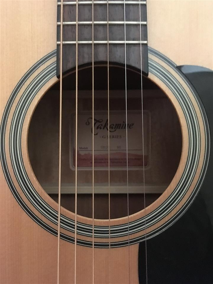 Takamine-GD10-NS