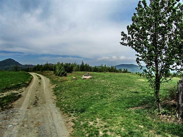 Plac-50000m2-u-Kosjeric--sa-izvorima-vode