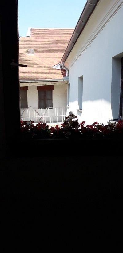 Izdajem-jednoiposoban-stan-za-Exit