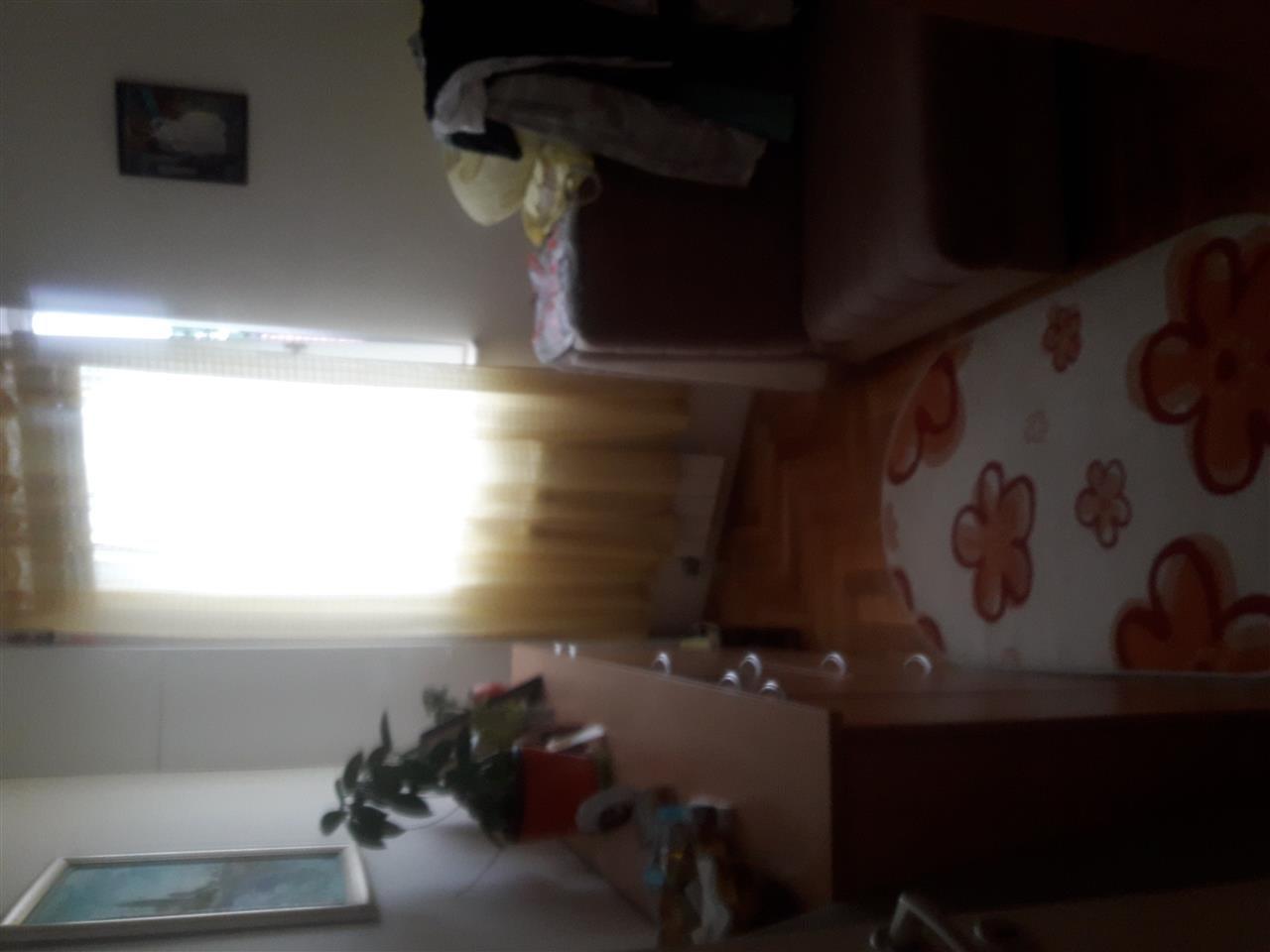 Banovo-brdo