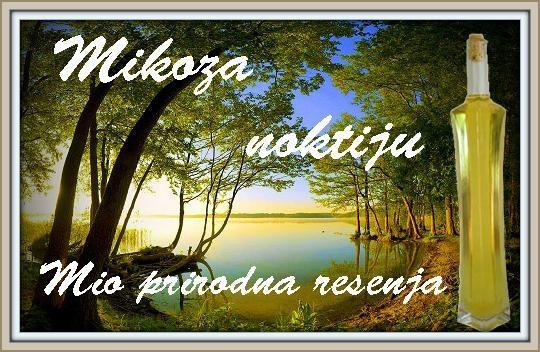 Mikoza-Noktiju