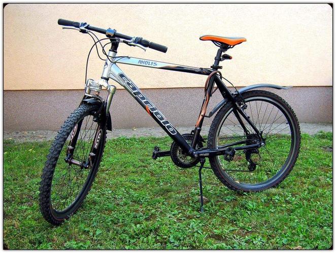 MTB Capriolo Anolis