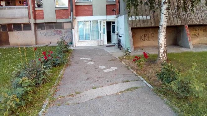 Stan na Dan u oazi zelenila