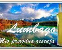 Lumbago