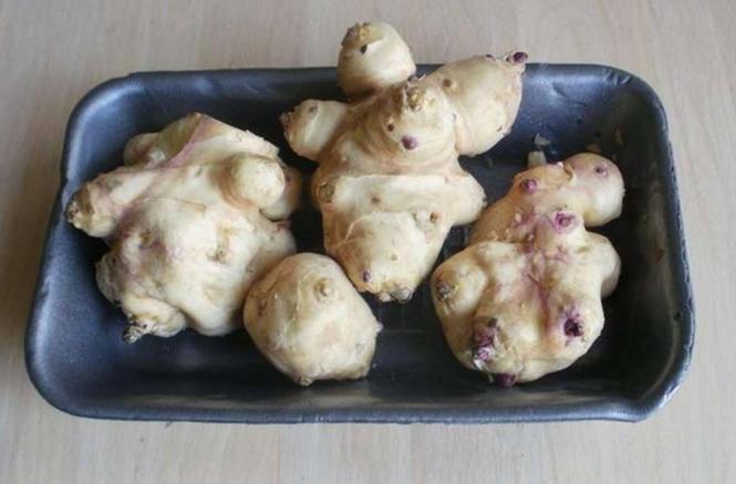 Čičoka