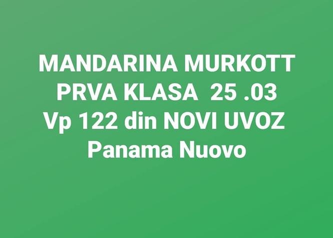 VELEPRODAJA VOĆA