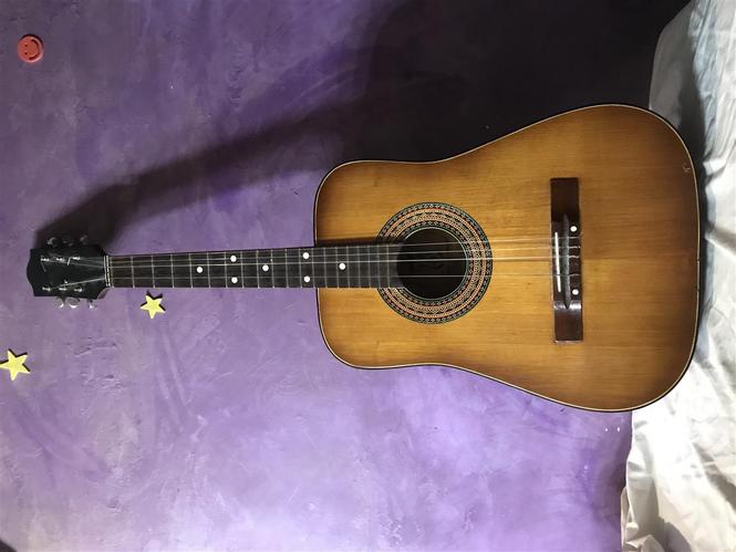 Poljska gitara