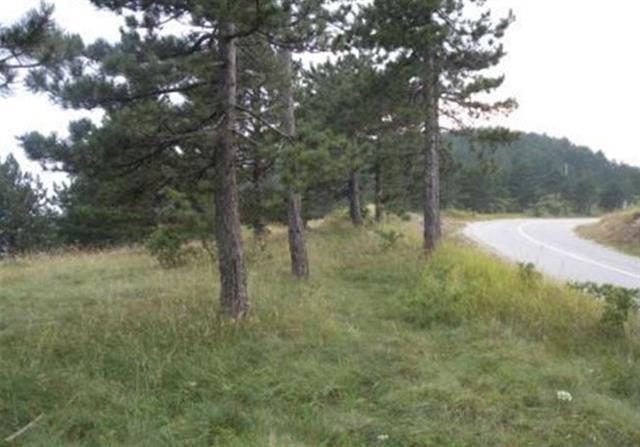 Plac 800m2 u Valjevo, Divcibare